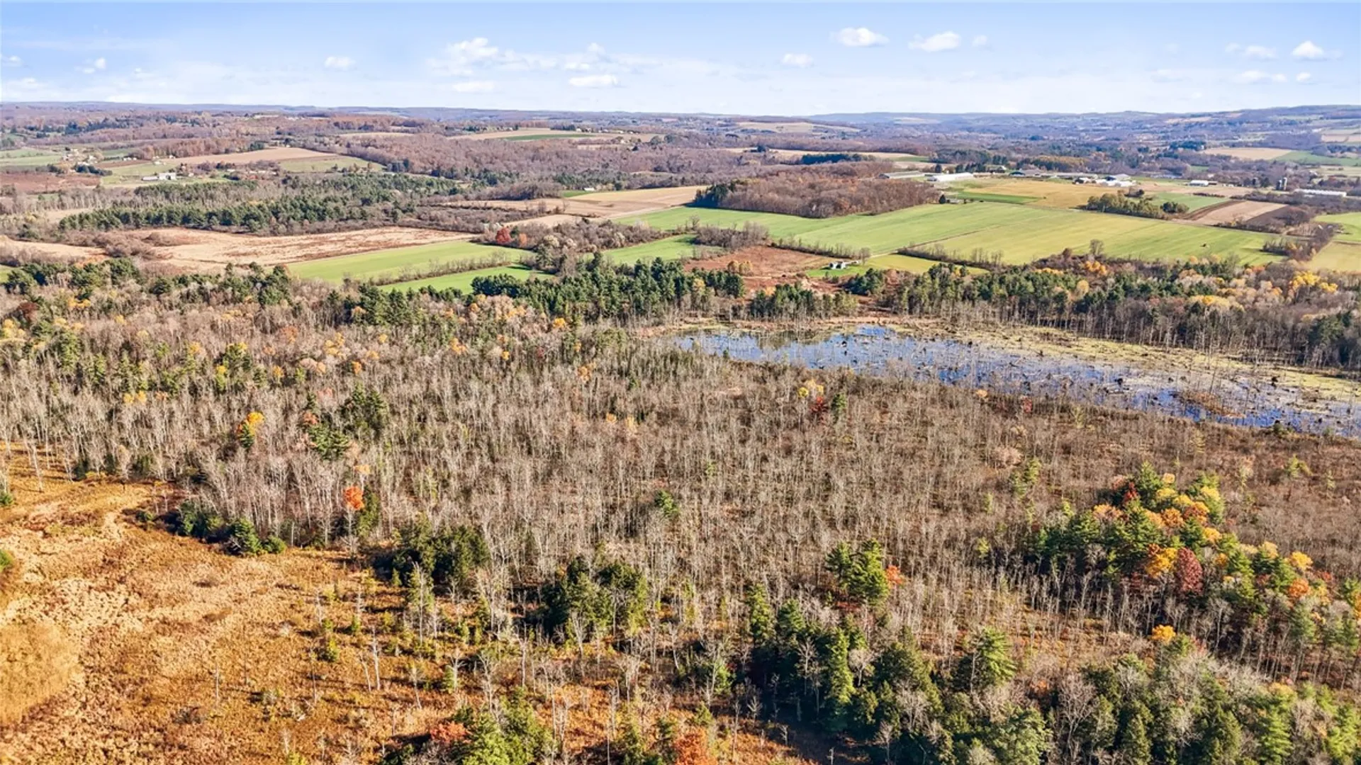 Property at 172 Ed Hill Road, Dryden, NY 13068 41