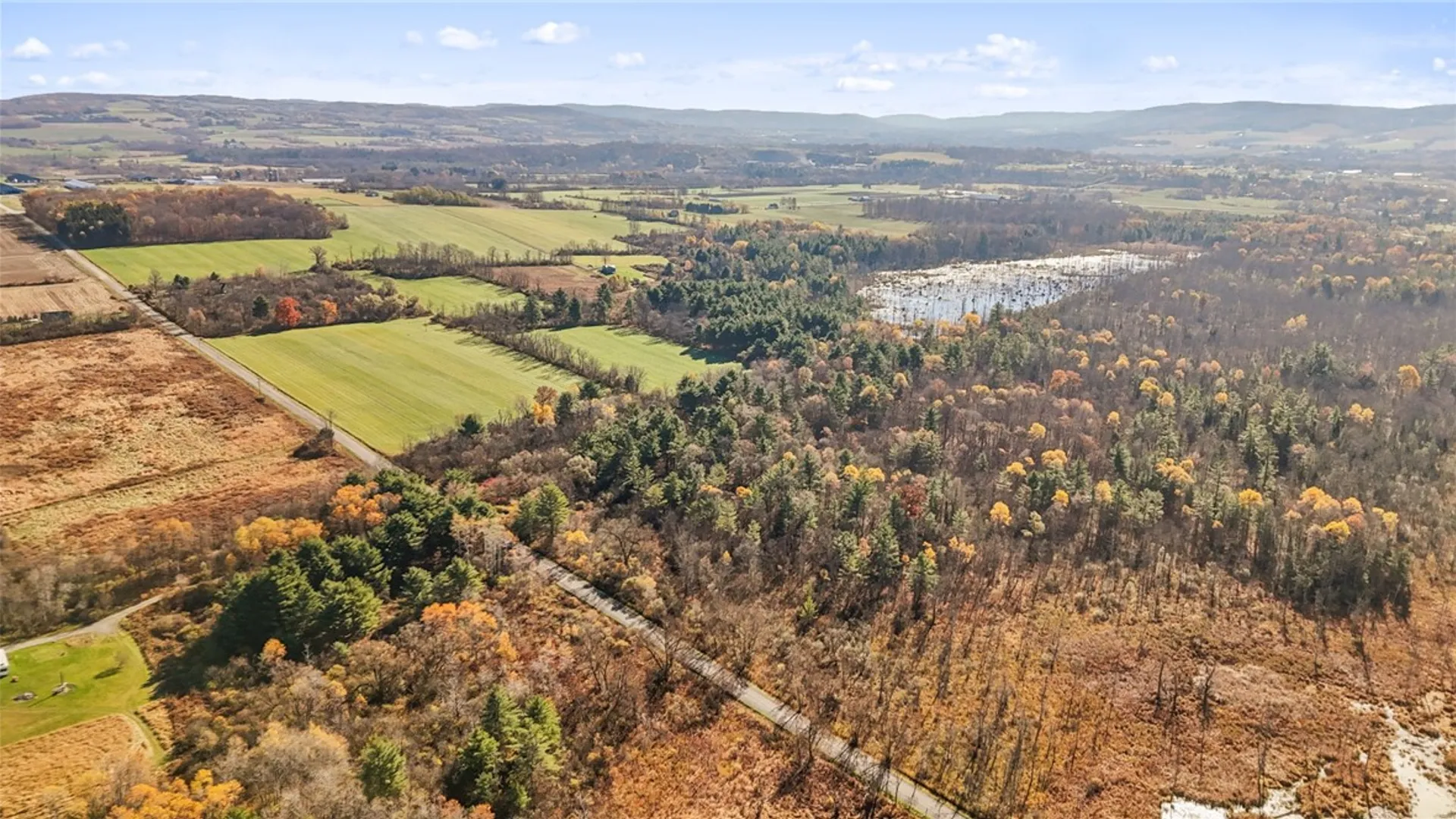 Property at 172 Ed Hill Road, Dryden, NY 13068 42