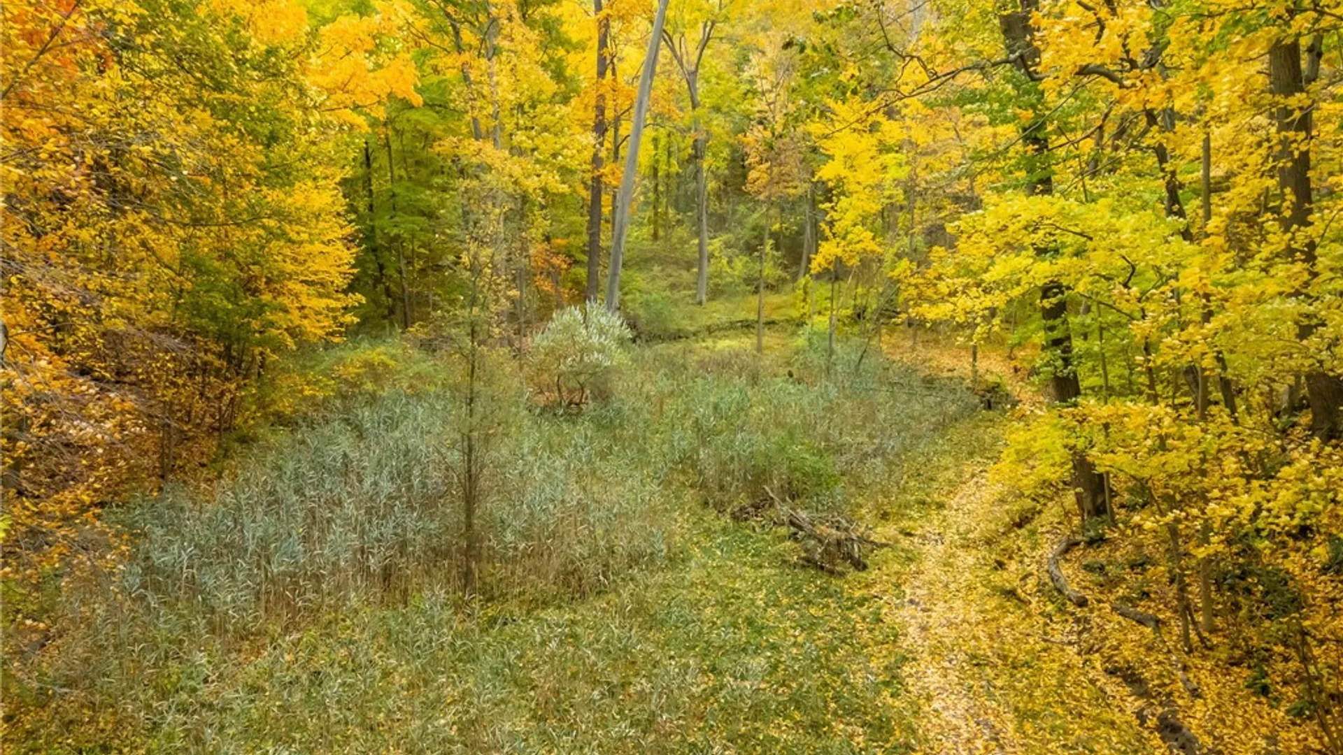 Property at 70 Avalon Trail, Penfield, NY 14580 28