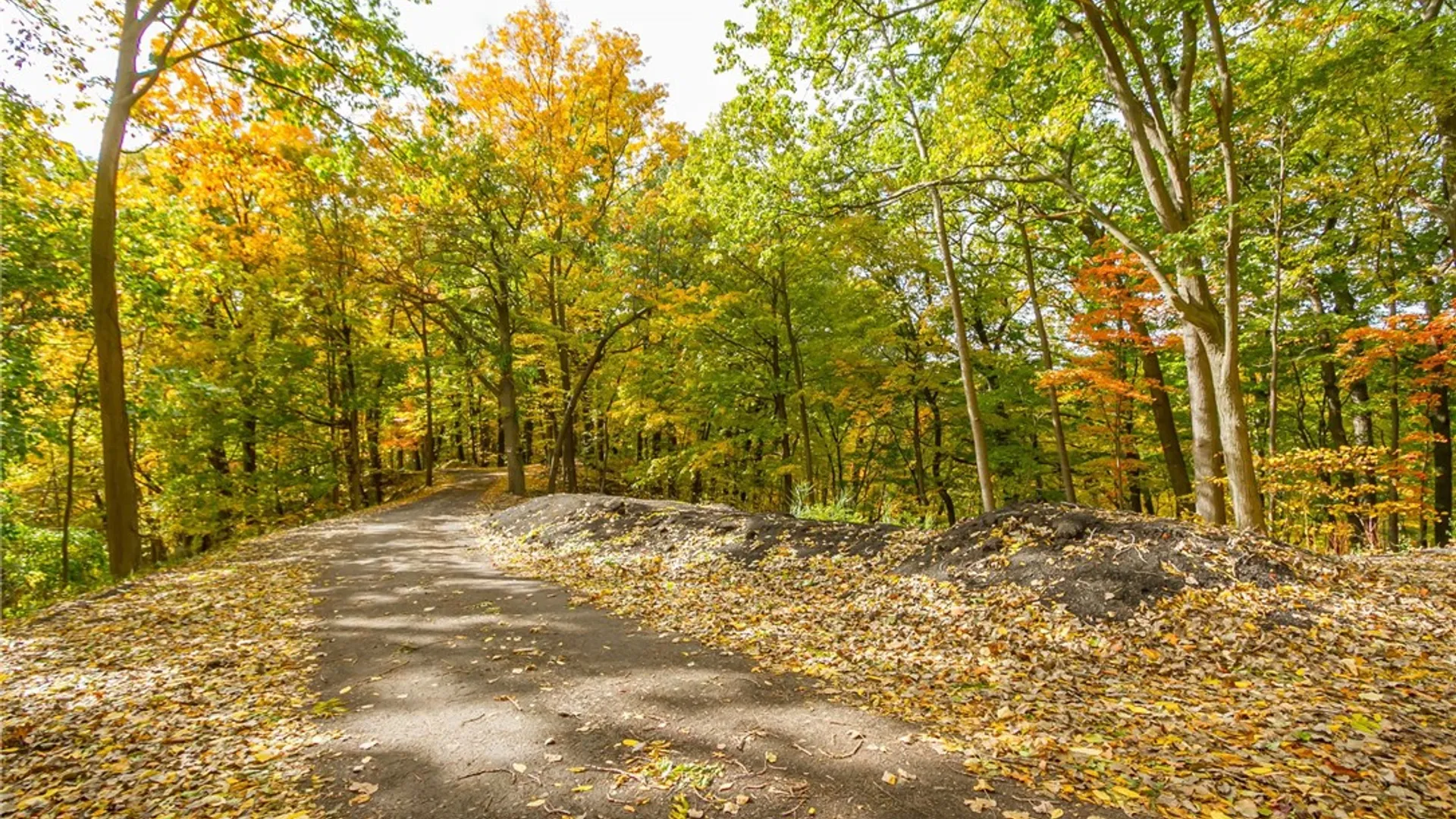 Property at 70 Avalon Trail, Penfield, NY 14580 30