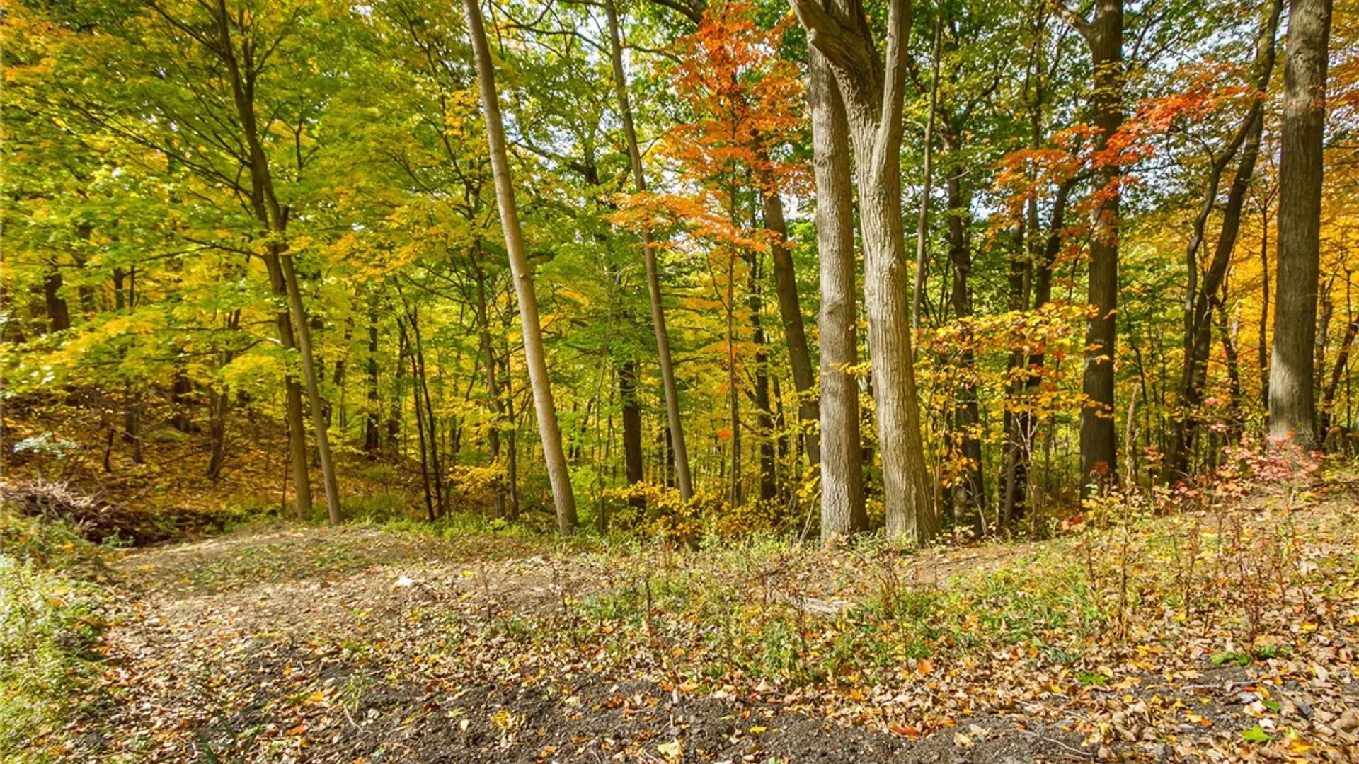 Property at 70 Avalon Trail, Penfield, NY 14580 31