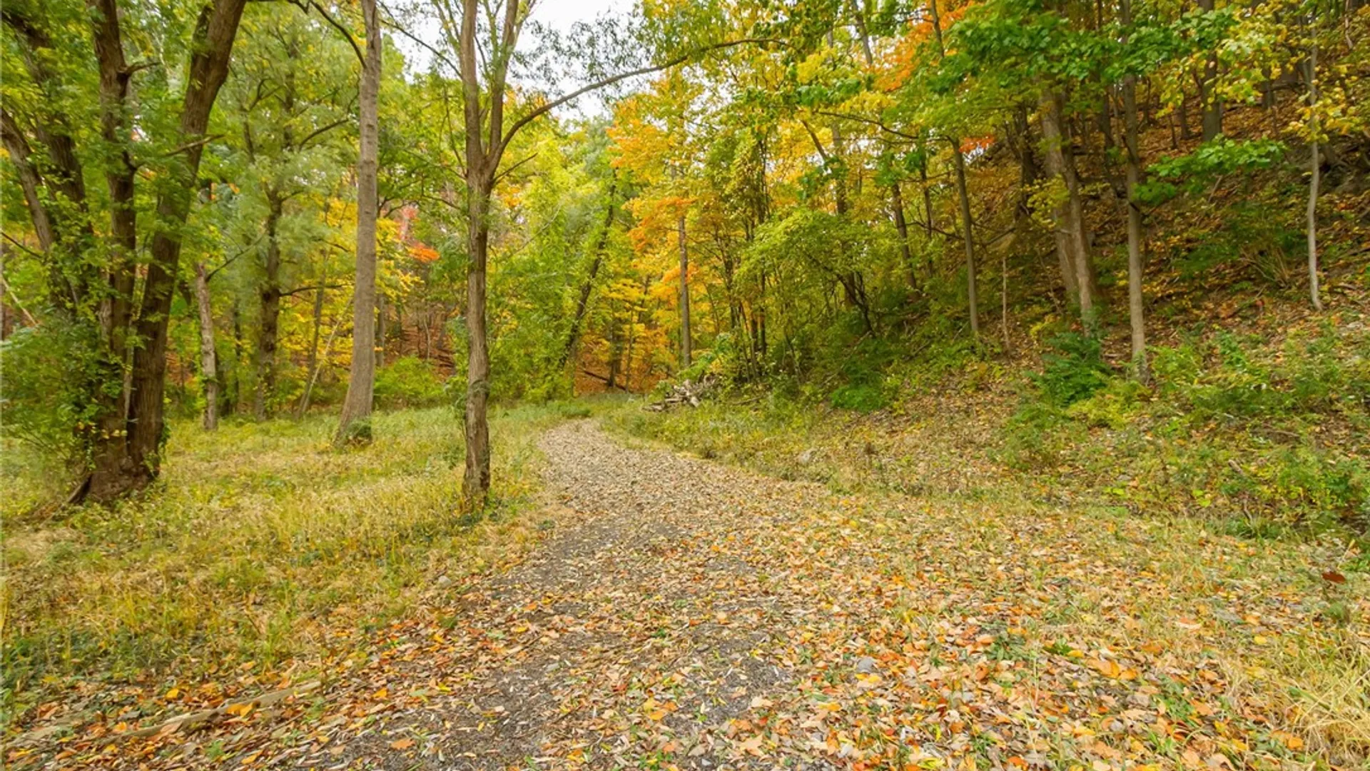 Property at 70 Avalon Trail, Penfield, NY 14580 32