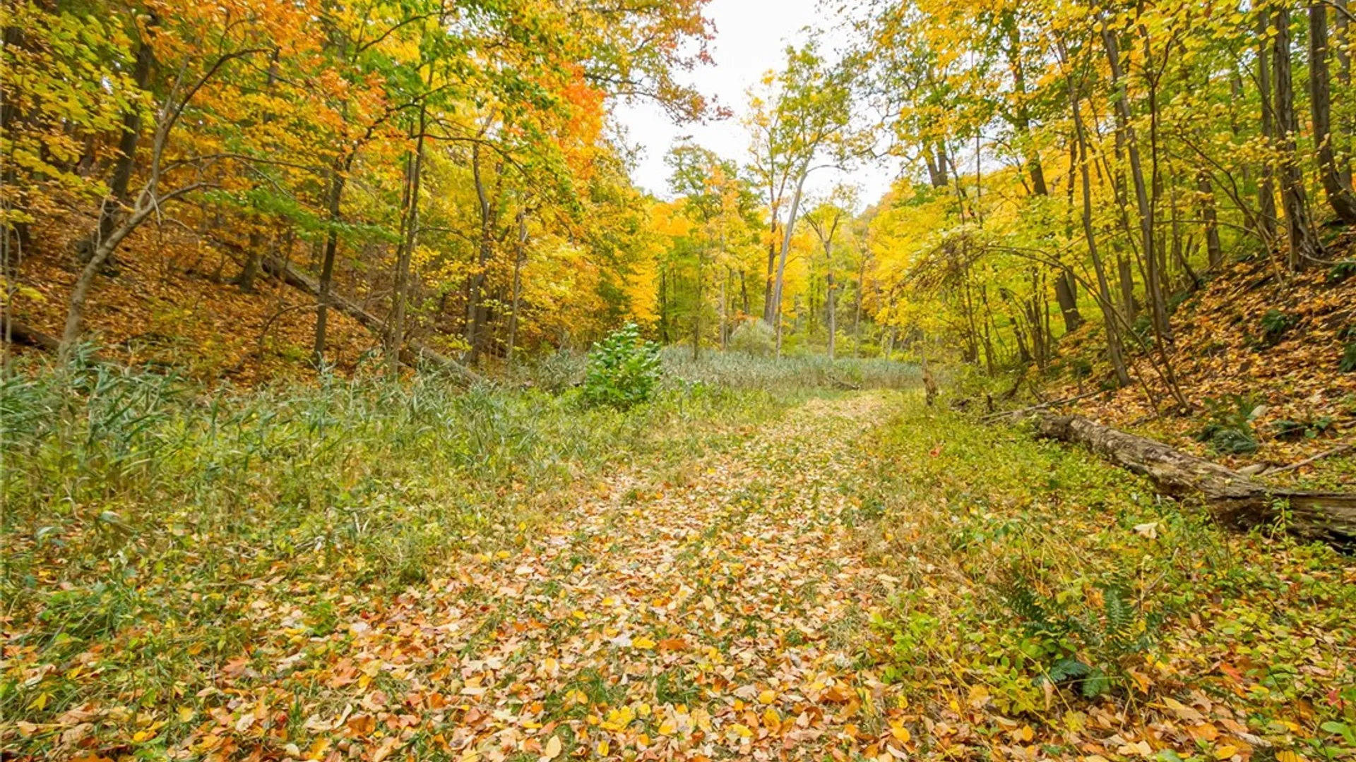 Property at 70 Avalon Trail, Penfield, NY 14580 33