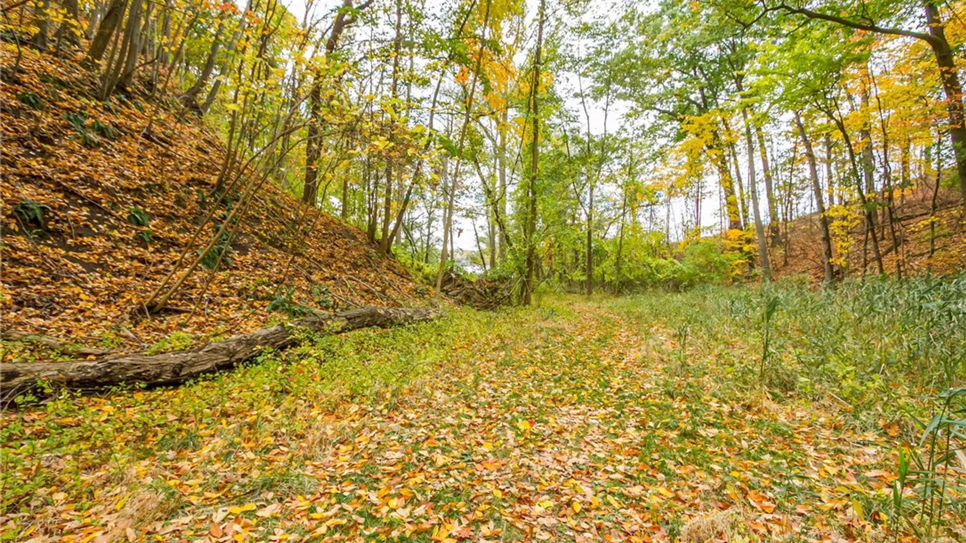 Property at 70 Avalon Trail, Penfield, NY 14580 34