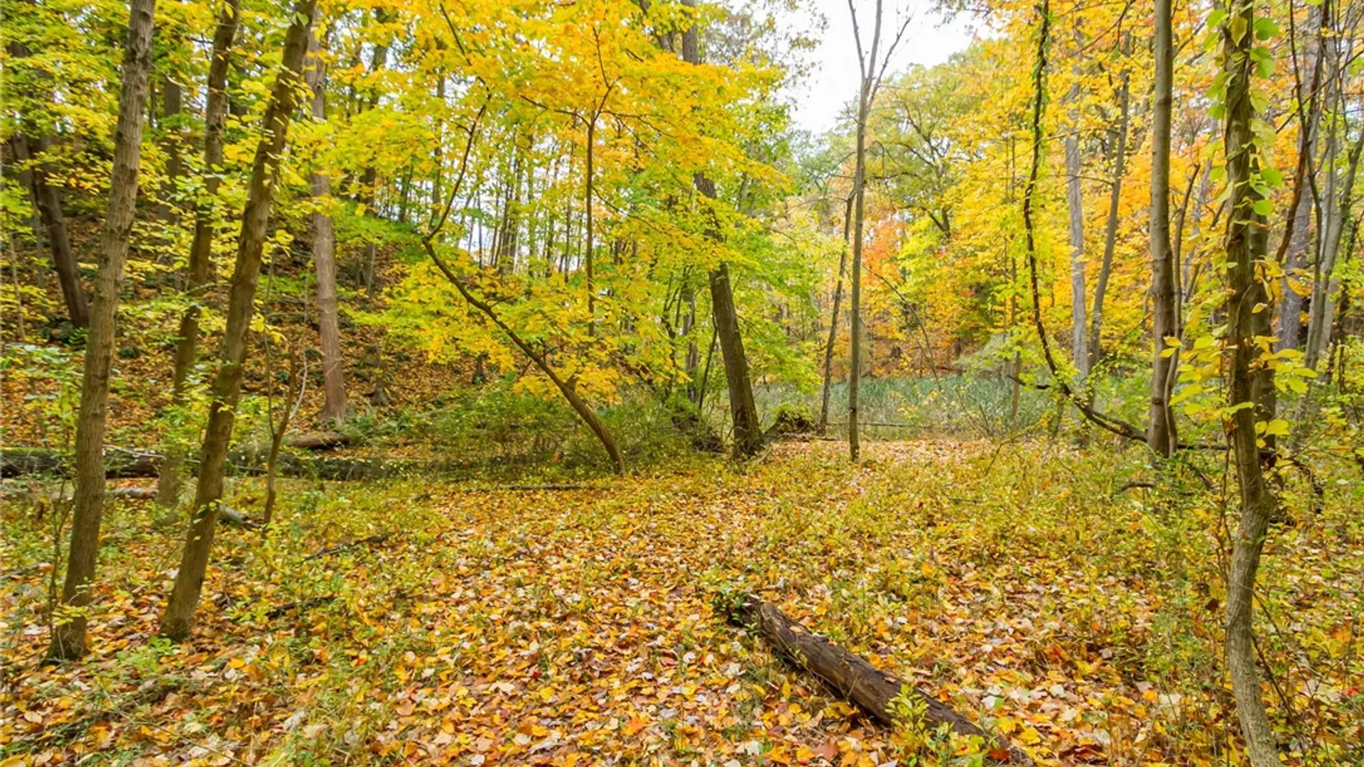 Property at 70 Avalon Trail, Penfield, NY 14580 35