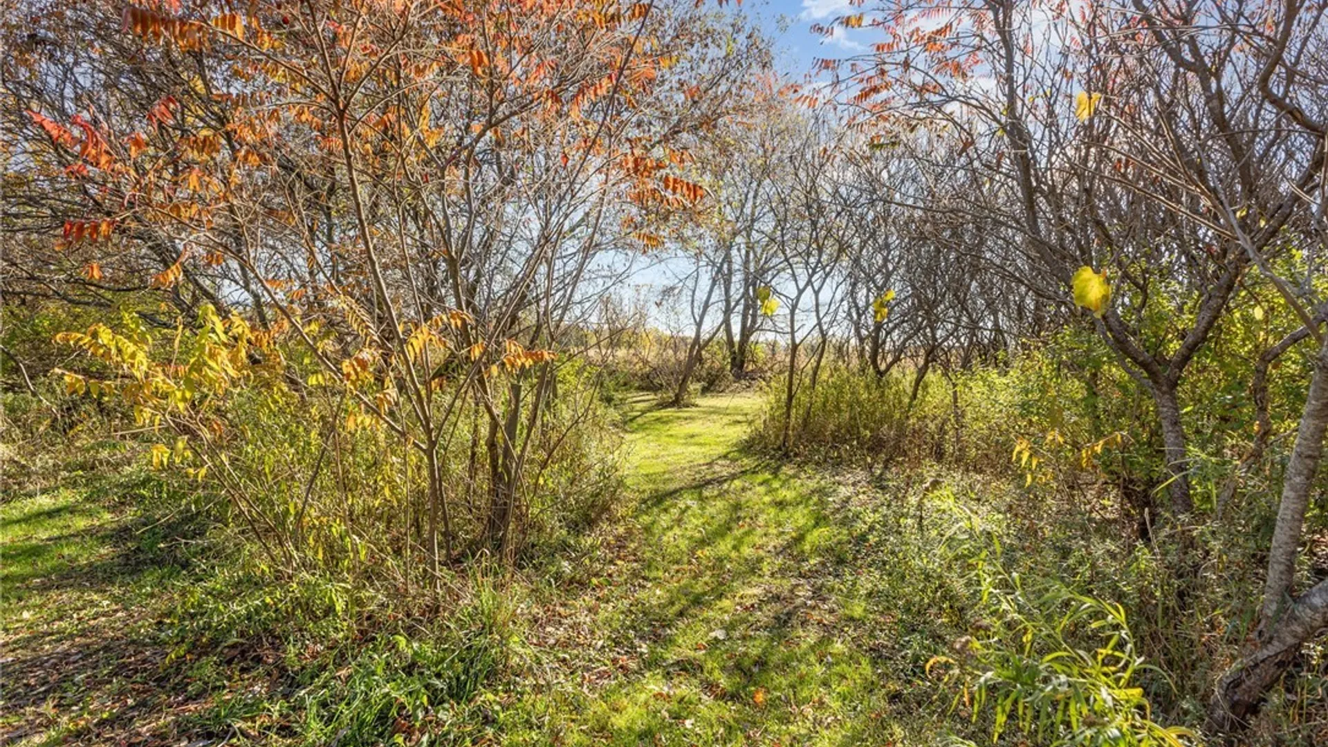 Property at 2690 Bear Swamp Road, Fenner, NY 13037 28