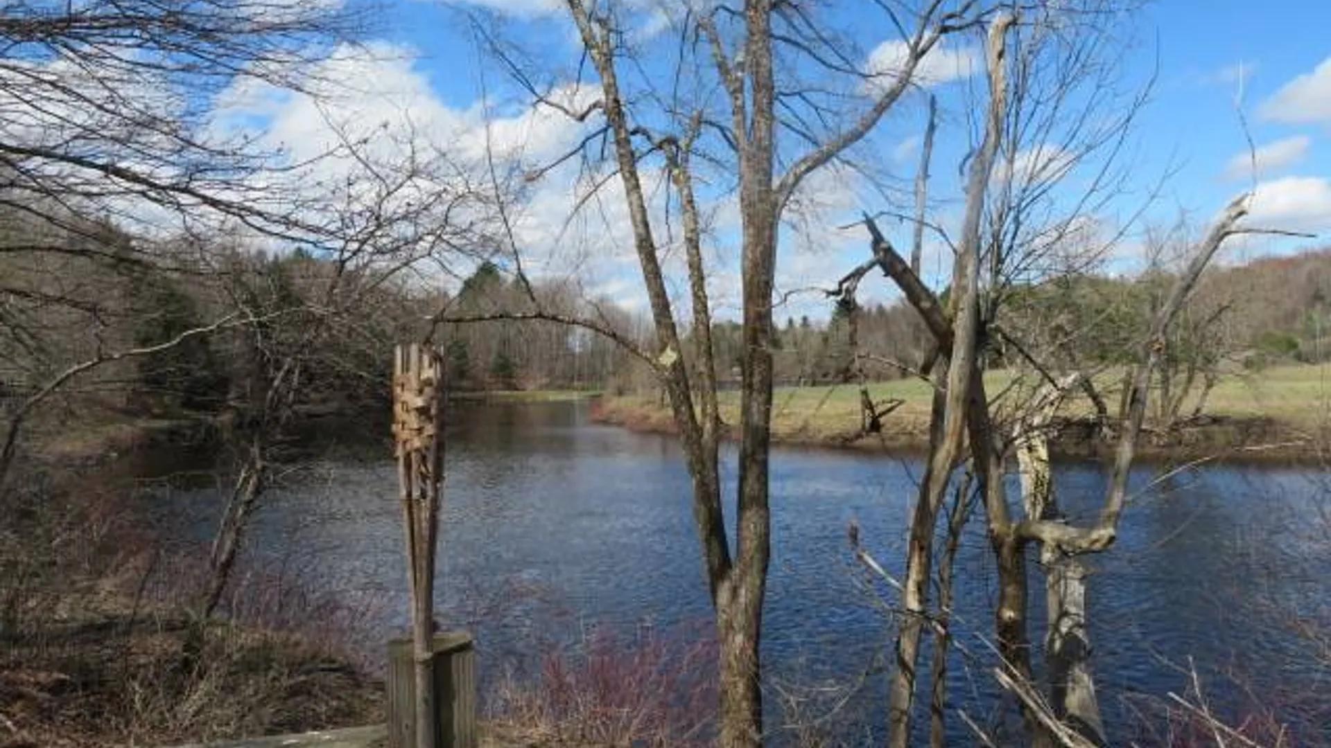 Property at 2664 State Route 12, Port Leyden, NY 13433 42