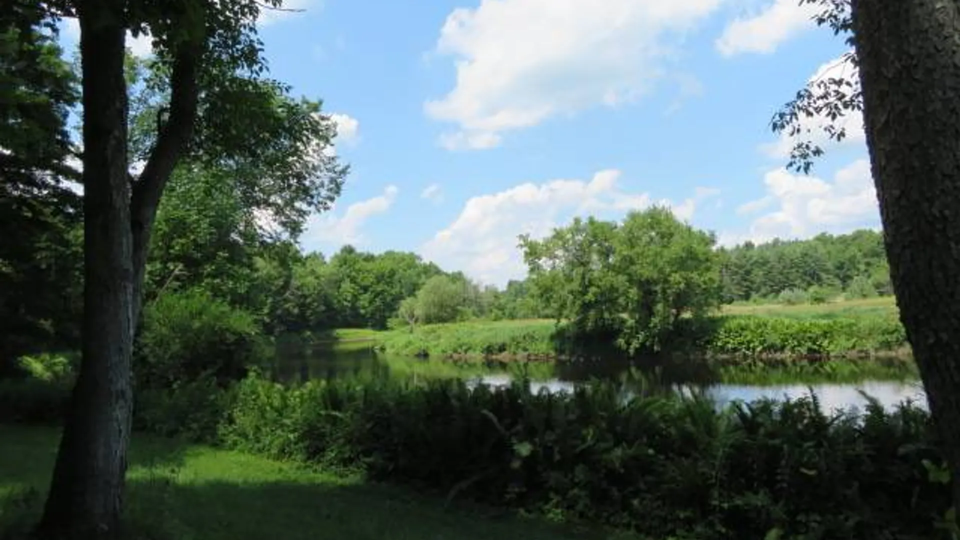Property at 2664 State Route 12, Port Leyden, NY 13433 46