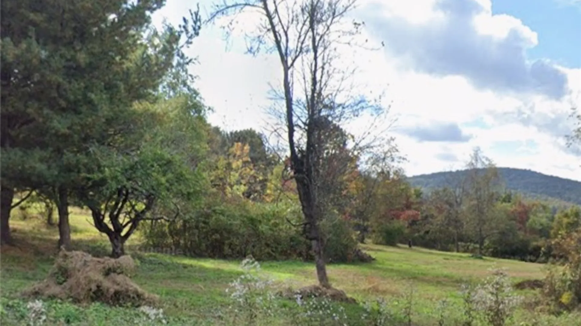 Property at Willow Tree Road, Marlborough, NY 12547 4
