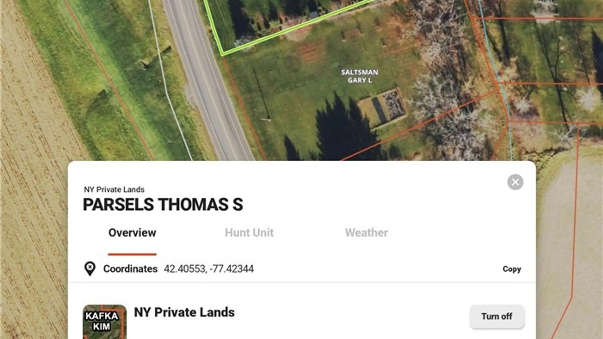 Property at 60100 State Route 415, Avoca, NY 14809 19