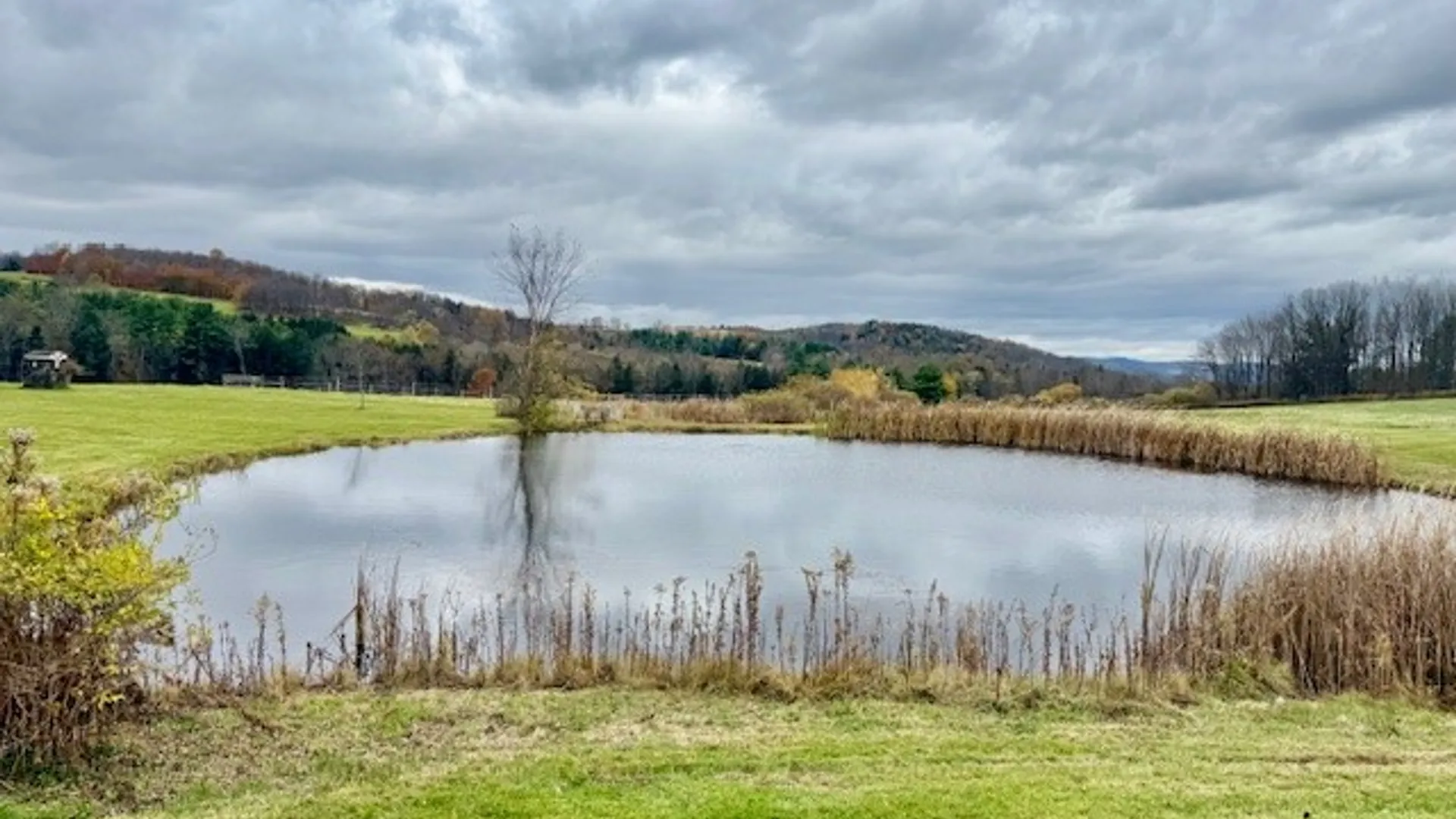 Property at 377 Stead Road, Norwich, NY 13843 13