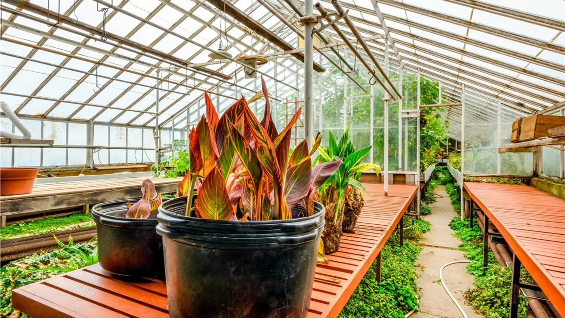 Property at 265 Main Street, Delhi, NY 13753 13