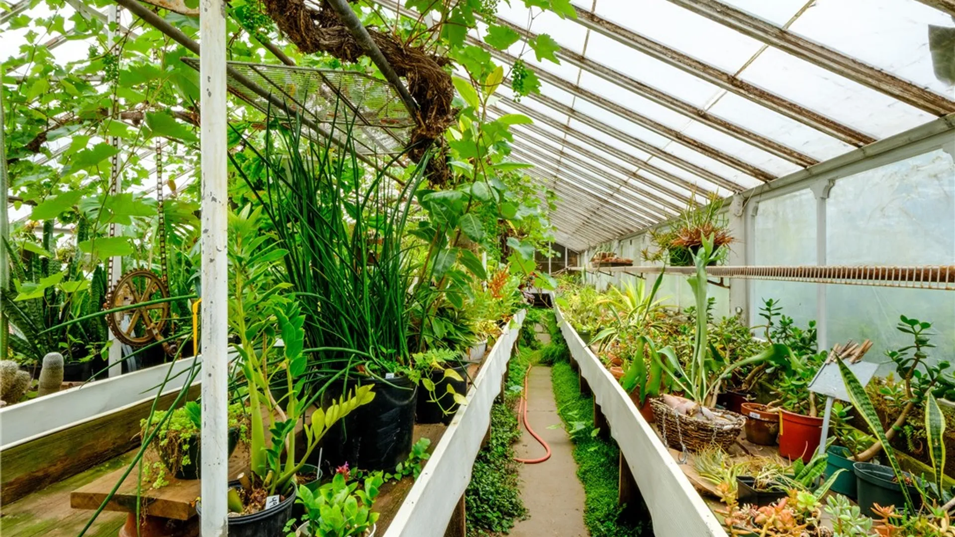 Property at 265 Main Street, Delhi, NY 13753 14