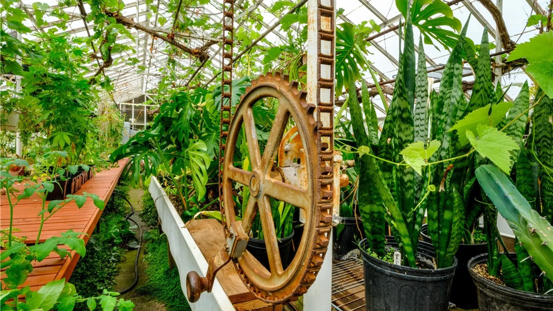 Property at 265 Main Street, Delhi, NY 13753 15