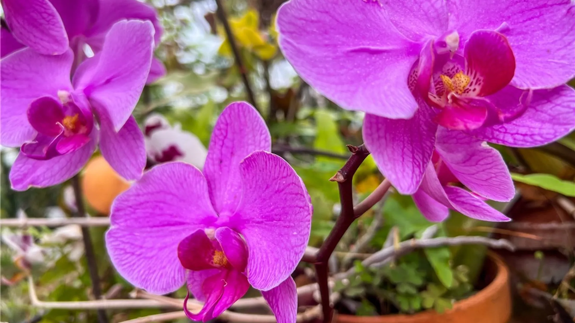 Property at 265 Main Street, Delhi, NY 13753 17