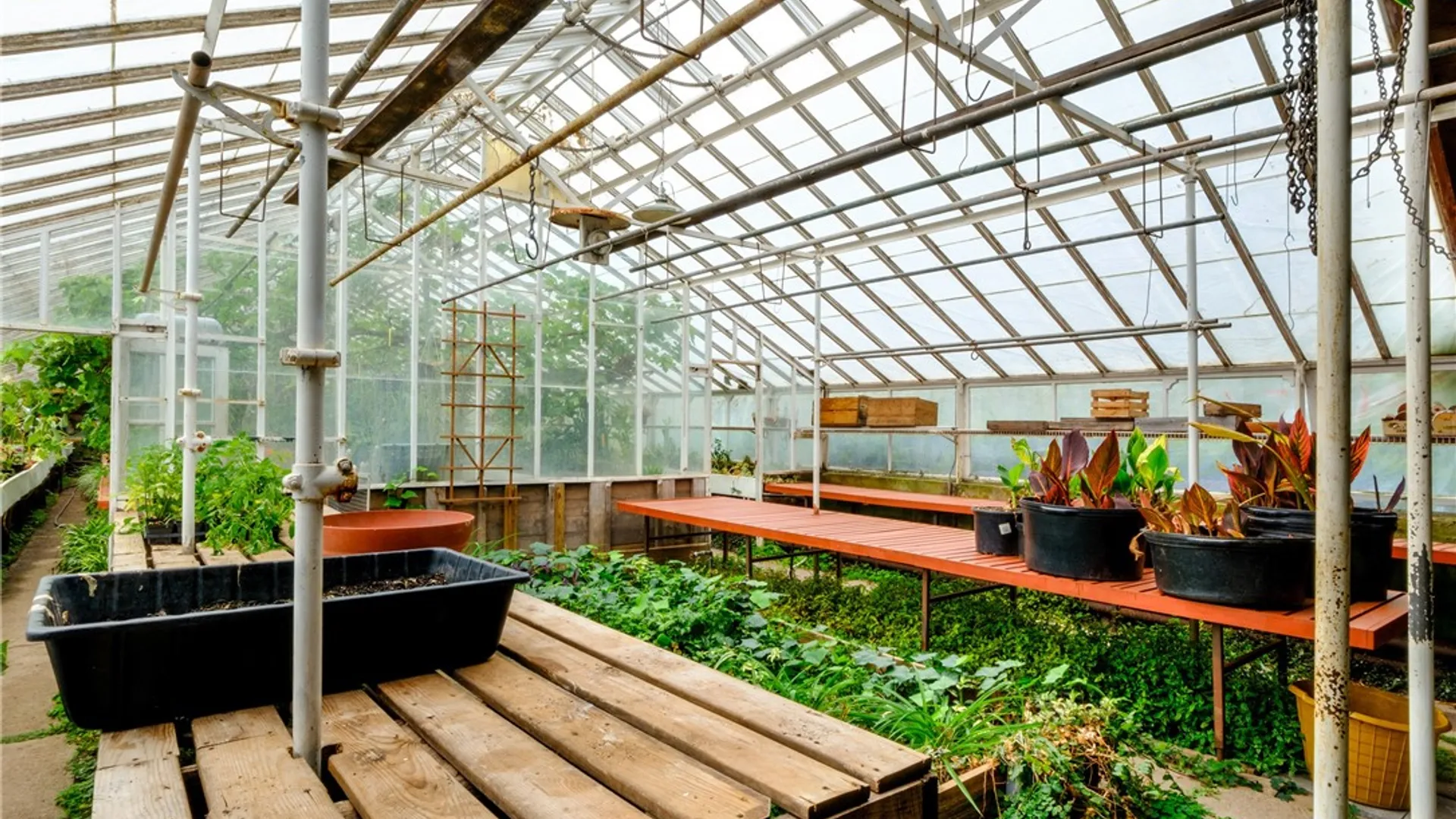 Property at 265 Main Street, Delhi, NY 13753 18