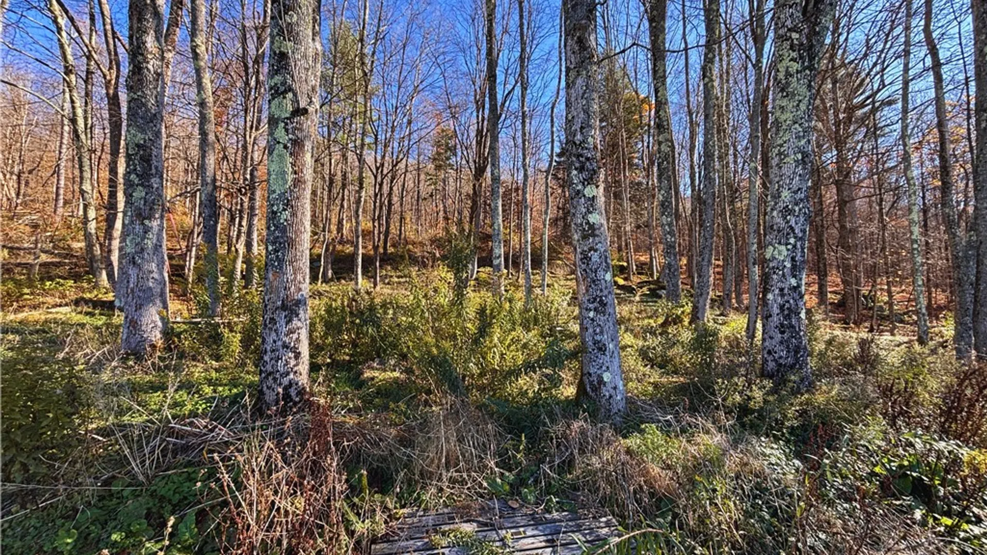 Property at 18693 State Highway 28, Delhi, NY 13753 30