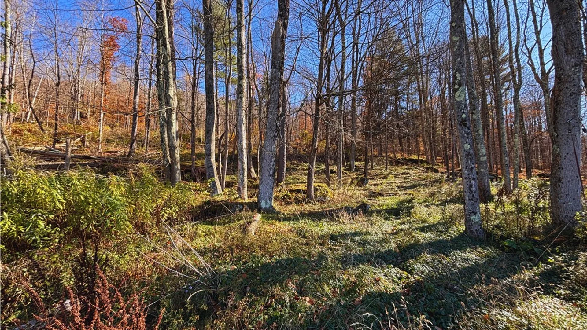 Property at 18693 State Highway 28, Delhi, NY 13753 31