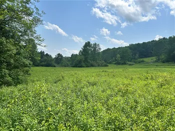 Property at Lot 3 Oregon Road, Butternuts, NY 13776