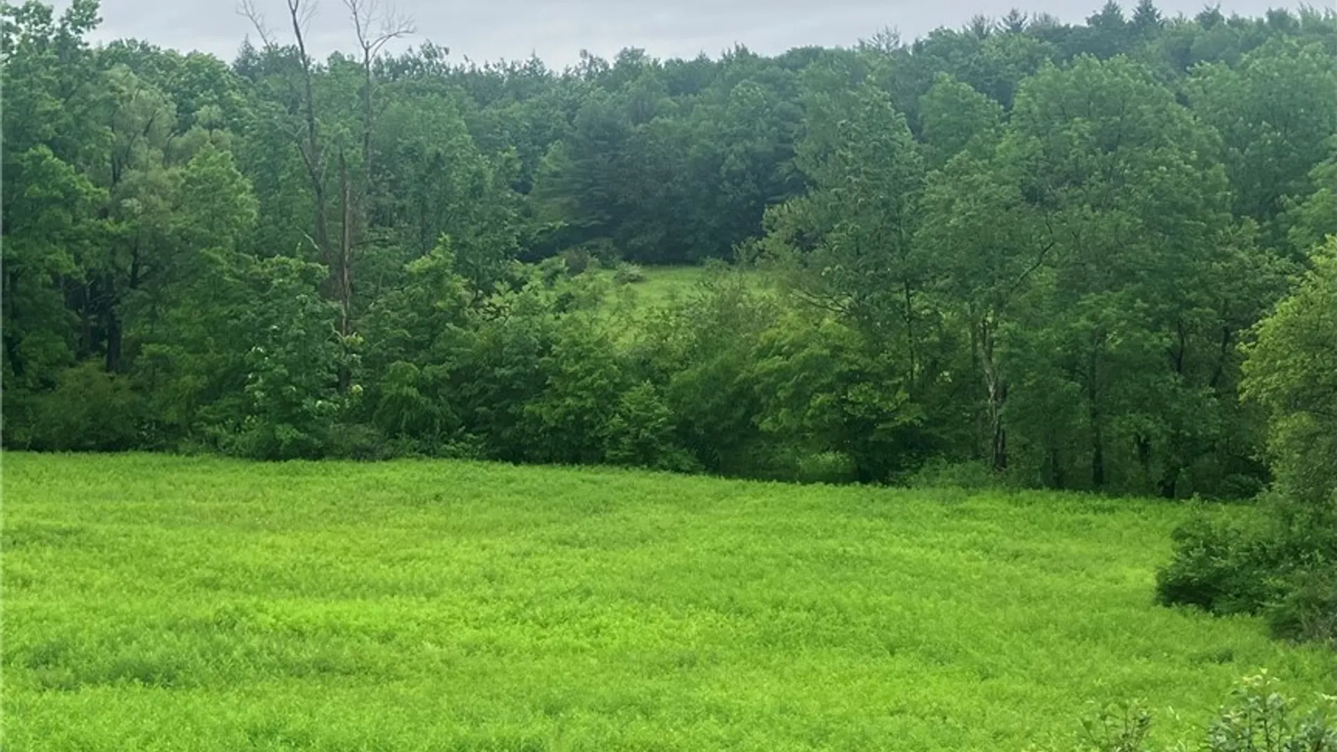 Property at Lot 3 Oregon Road, Butternuts, NY 13776 3