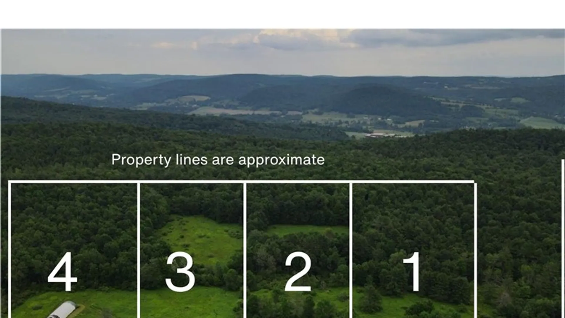 Property at Lot 3 Oregon Road, Butternuts, NY 13776 6