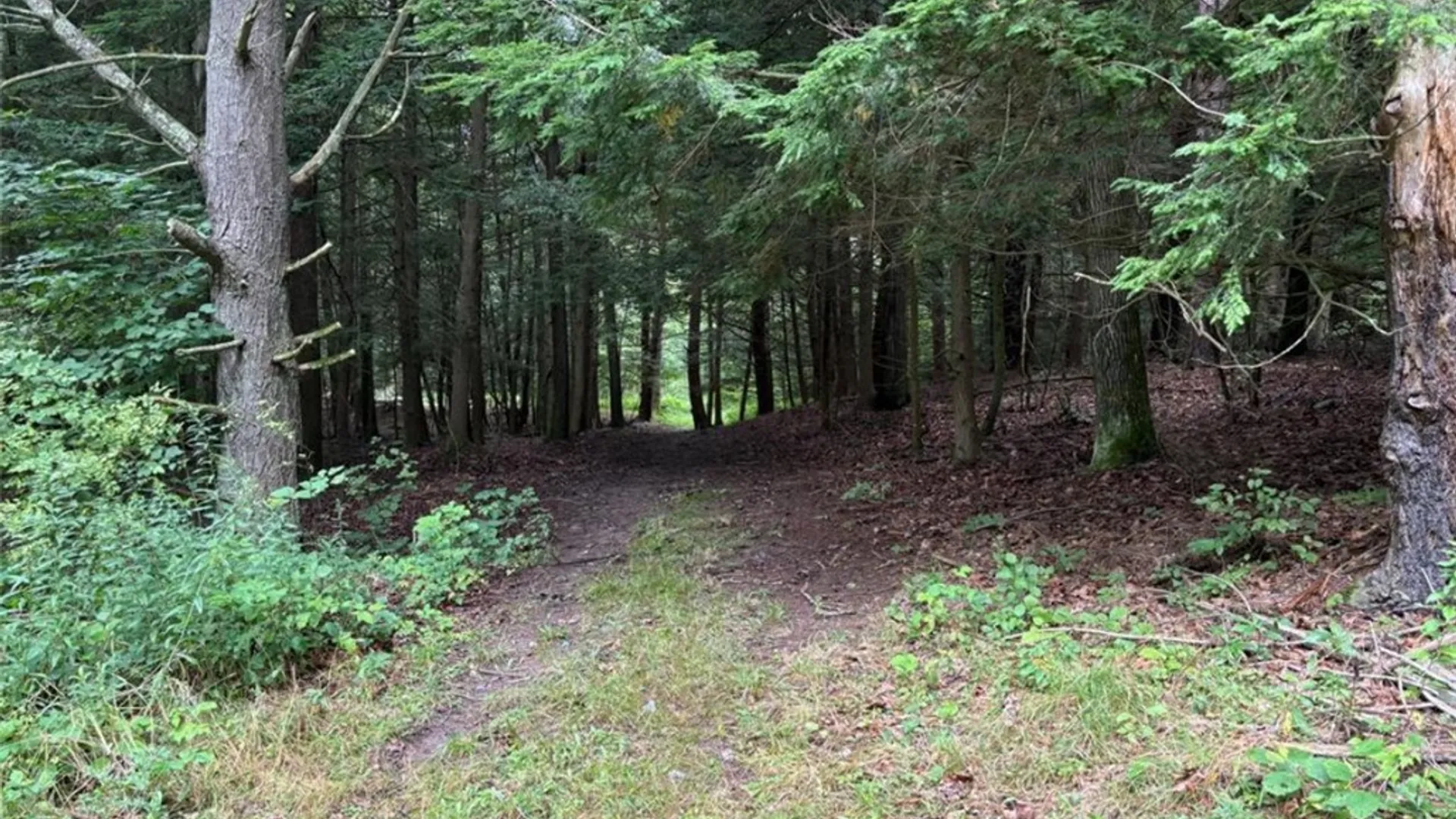 Property at 00 Browntown Road Lot 3, Lindley, NY 14858 2