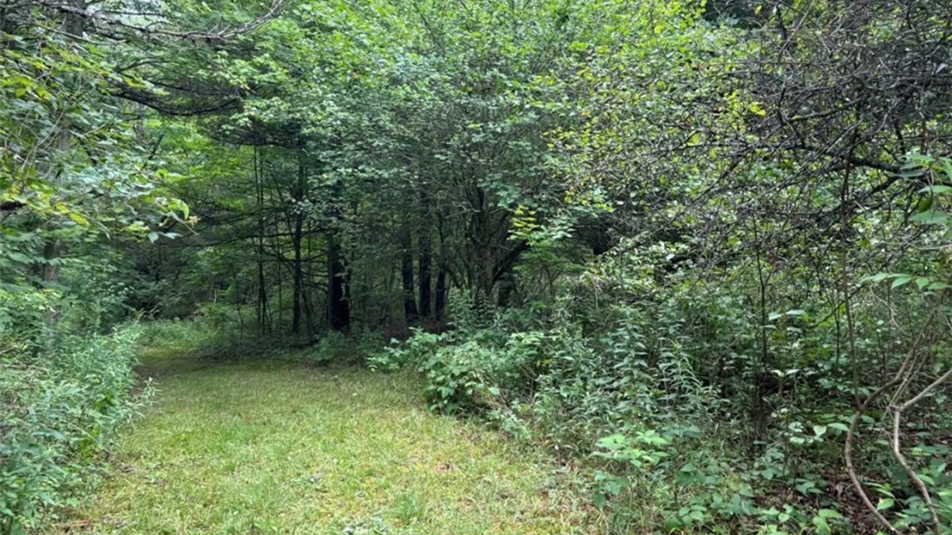 Property at 00 Browntown Road Lot 3, Lindley, NY 14858 4