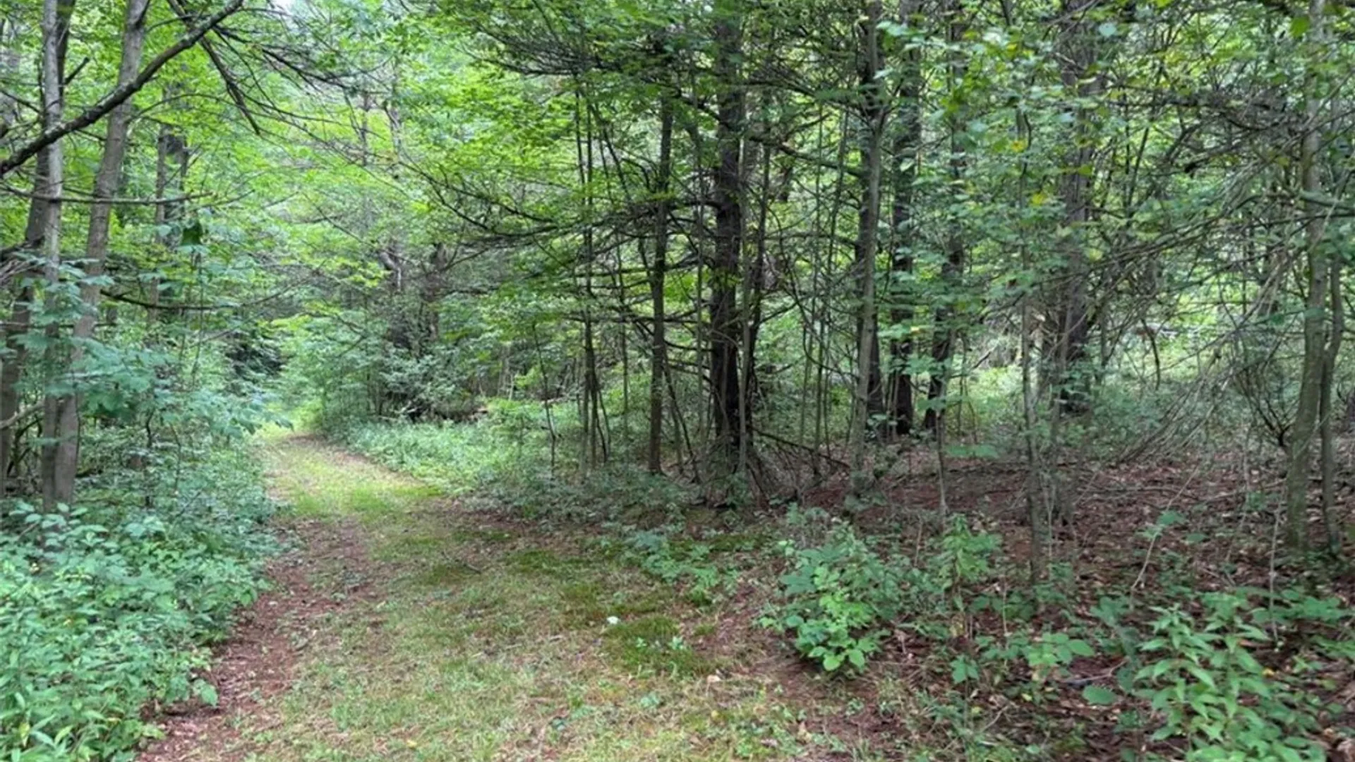 Property at 00 Browntown Road Lot 3, Lindley, NY 14858 5