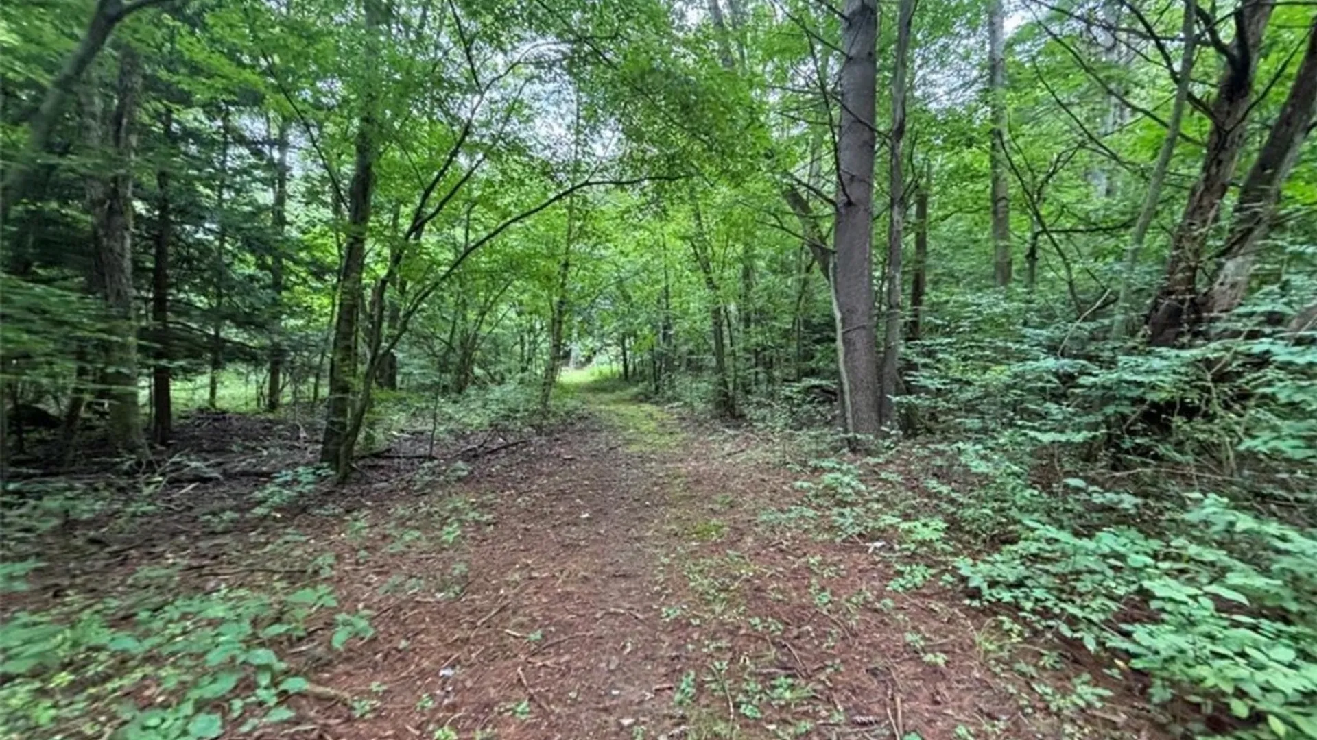 Property at 00 Browntown Road Lot 3, Lindley, NY 14858 6