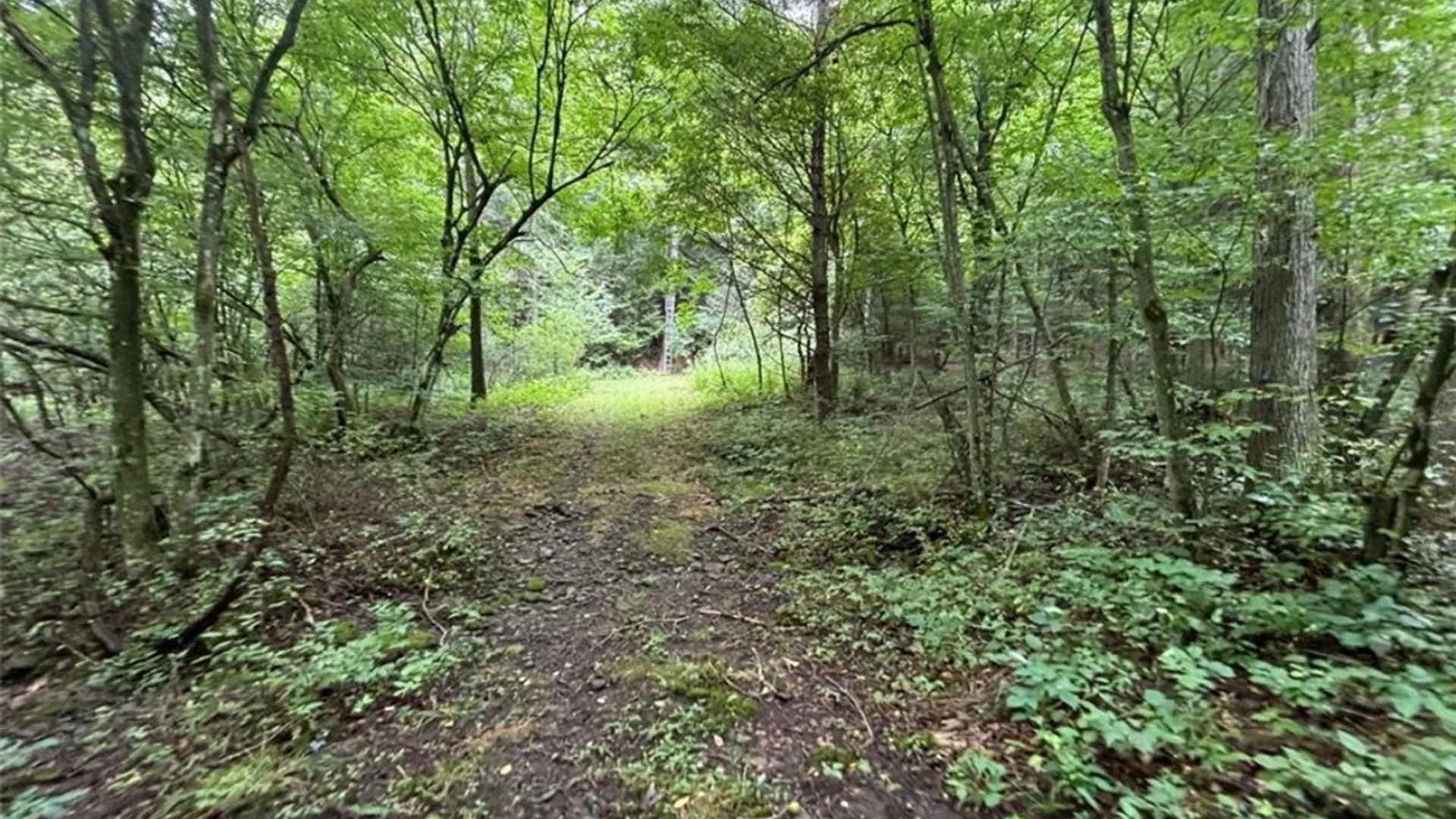 Property at 00 Browntown Road Lot 3, Lindley, NY 14858 7