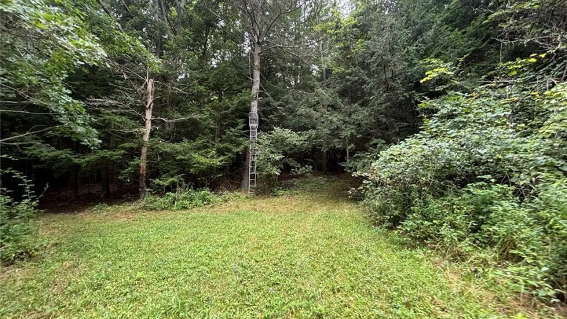 Property at 00 Browntown Road Lot 3, Lindley, NY 14858 8