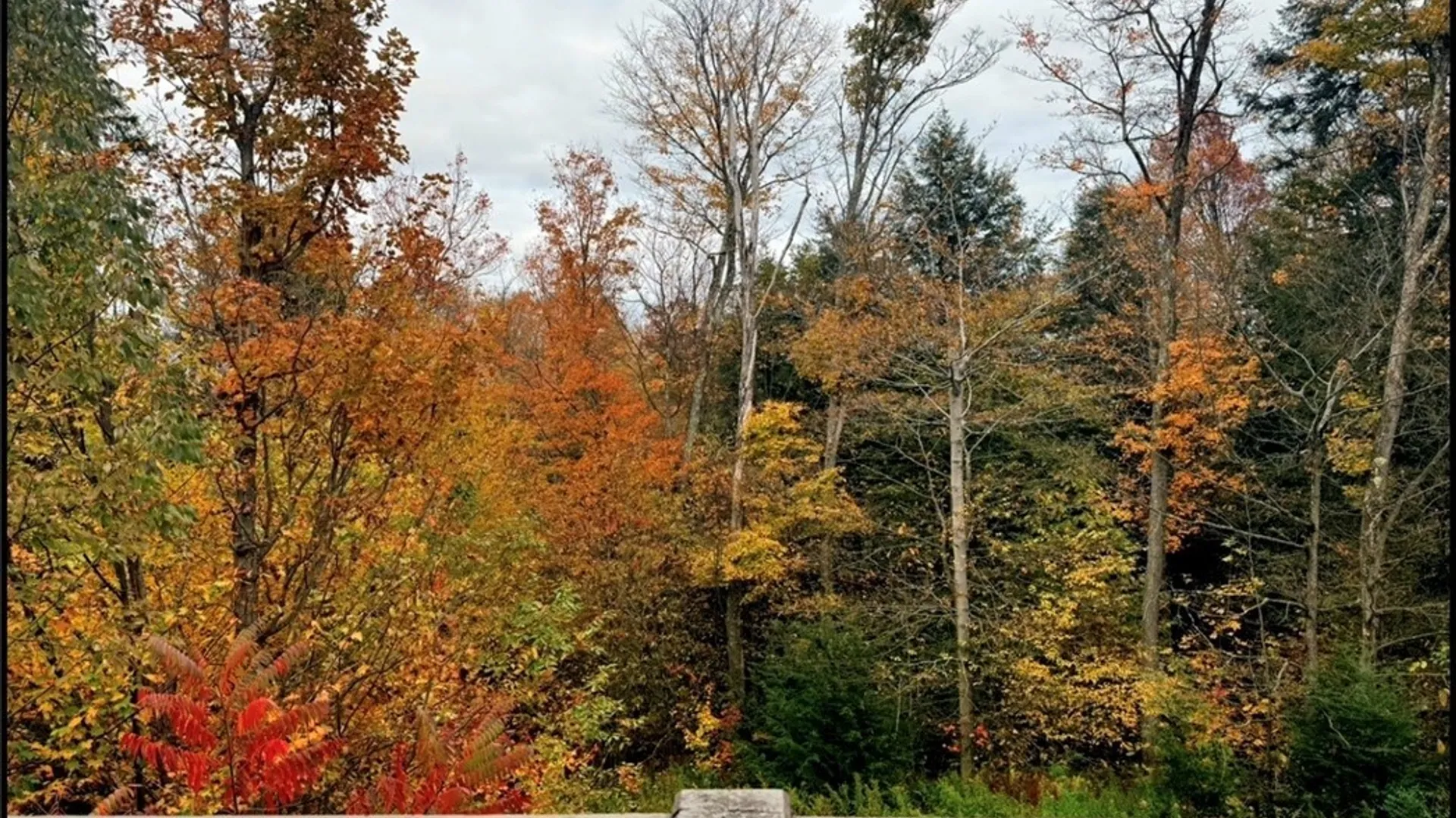 Property at 8034 Abbey Lane, French Creek, NY 14724 20