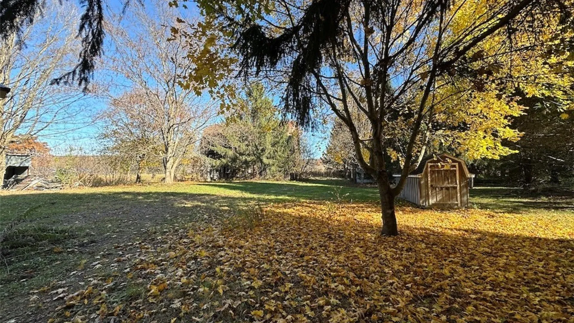 Property at 8976 State Route 19, Caneadea, NY 14717 17