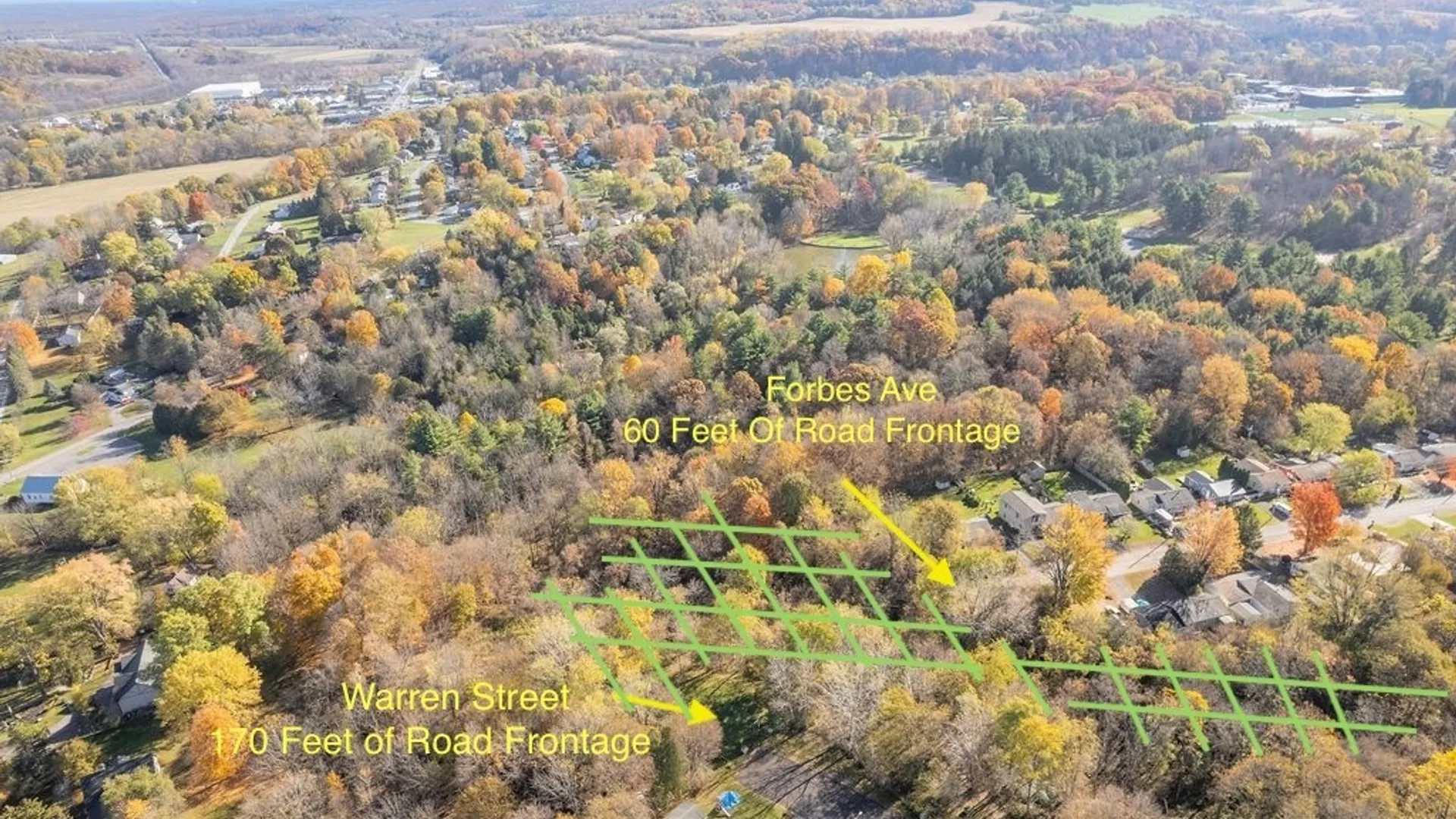 Property at 000 Warren Street, Sullivan, NY 13037 5