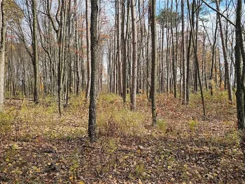 Property at 417 Stocks Road, Owego, NY 13827
