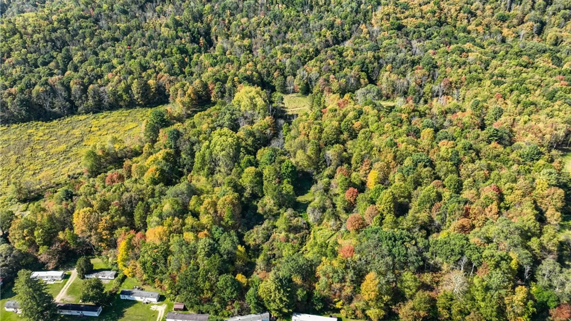 Property at 649 Bolivar Drive, Foster Town, PA 16701 2