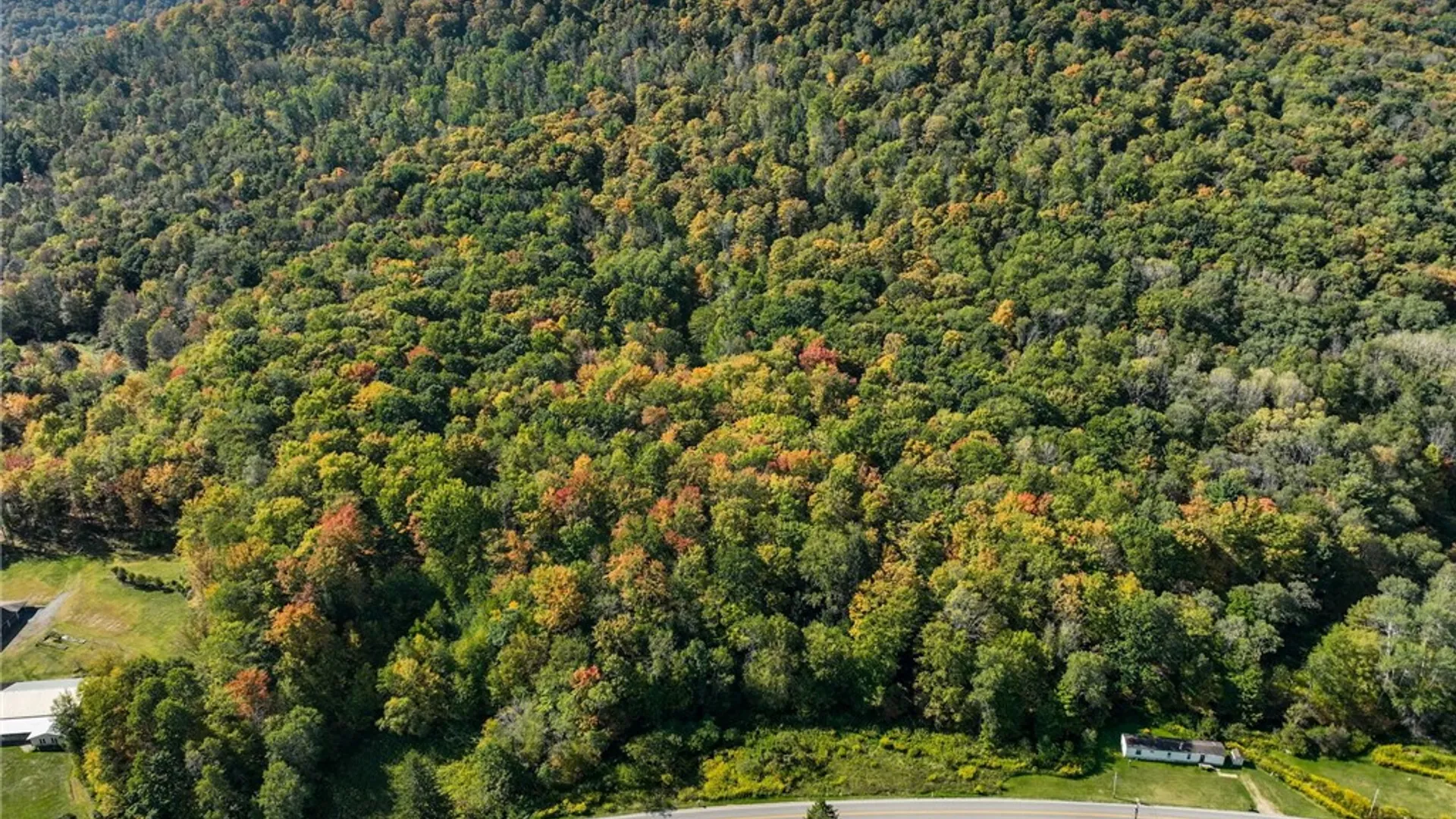 Property at 649 Bolivar Drive, Foster Town, PA 16701 7