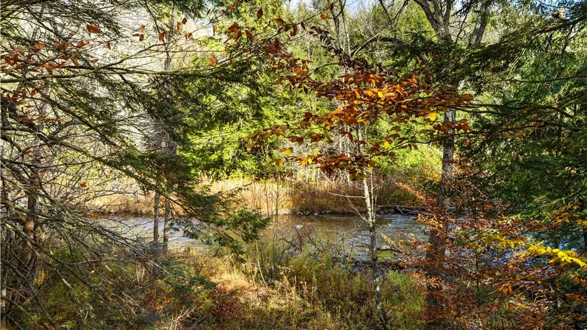 Property at 2779 State Route 29, Salisbury, NY 13329 34