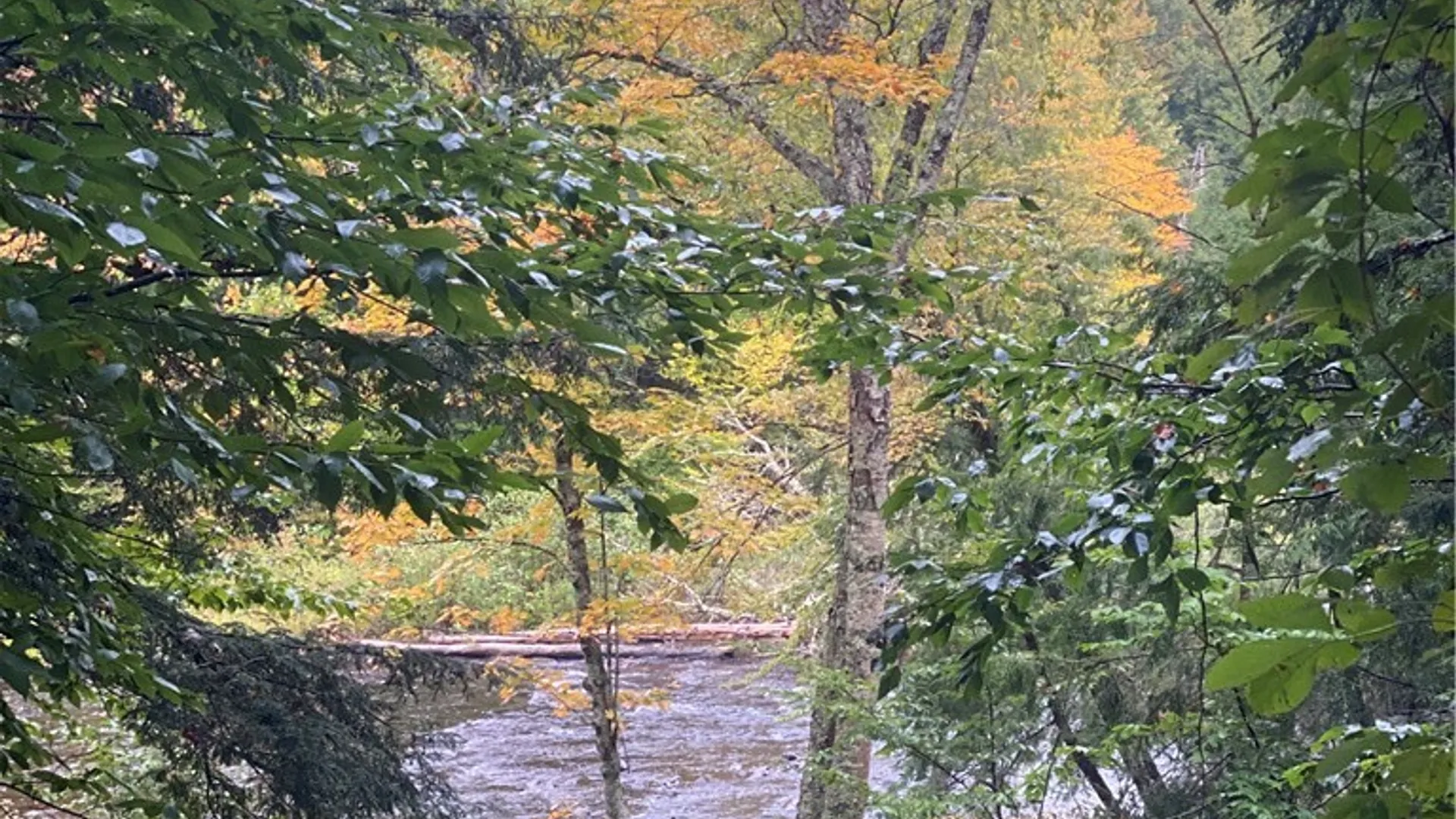 Property at 2779 State Route 29, Salisbury, NY 13329 35