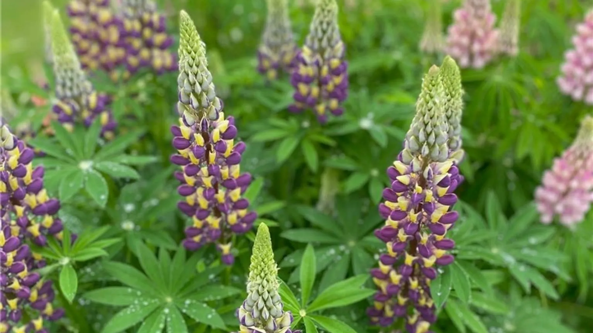 Property at 2779 State Route 29, Salisbury, NY 13329 36