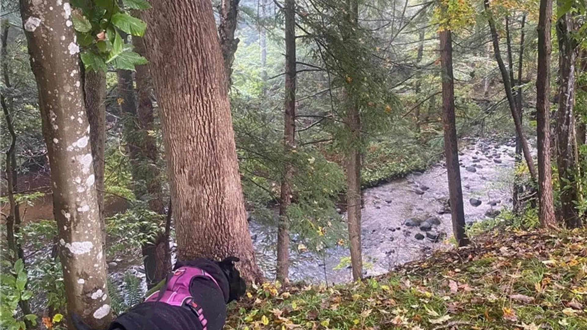 Property at 2779 State Route 29, Salisbury, NY 13329 37