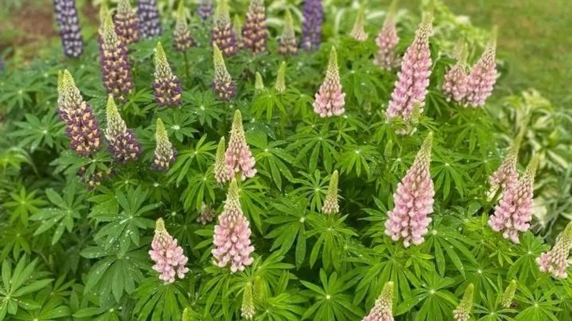 Property at 2779 State Route 29, Salisbury, NY 13329 38