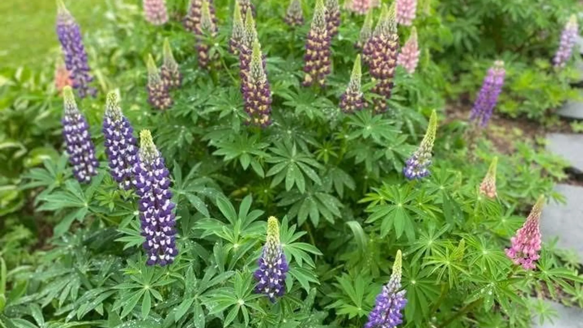 Property at 2779 State Route 29, Salisbury, NY 13329 39