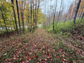 Property at 10987 Snyder Road, Concord, NY 14141