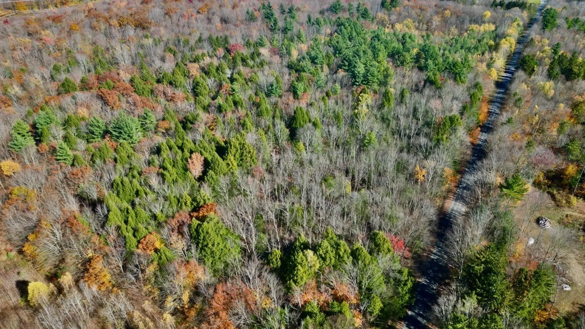 Property at 2836 US Route 11, Mexico, NY 13131 15