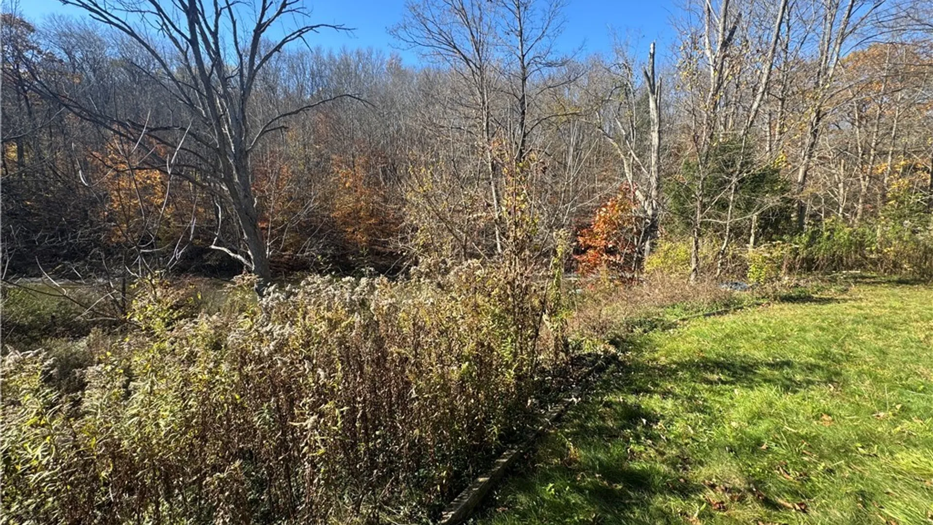 Property at 8468 State Road, Colden, NY 14033 2