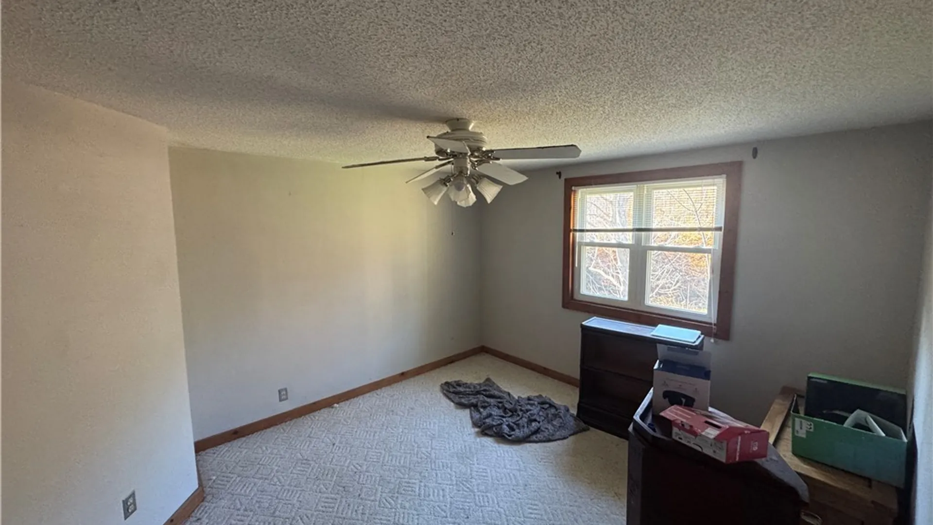 Property at 8468 State Road, Colden, NY 14033 5