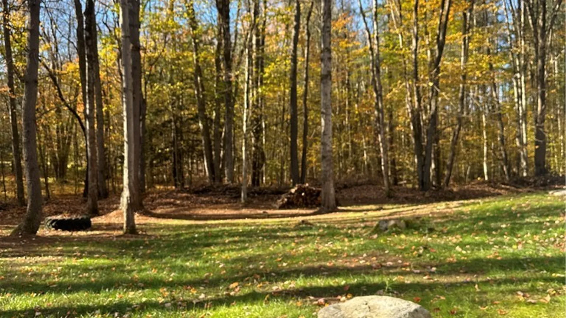 Property at 8051 Saltzman Road, Vienna, NY 13308 21