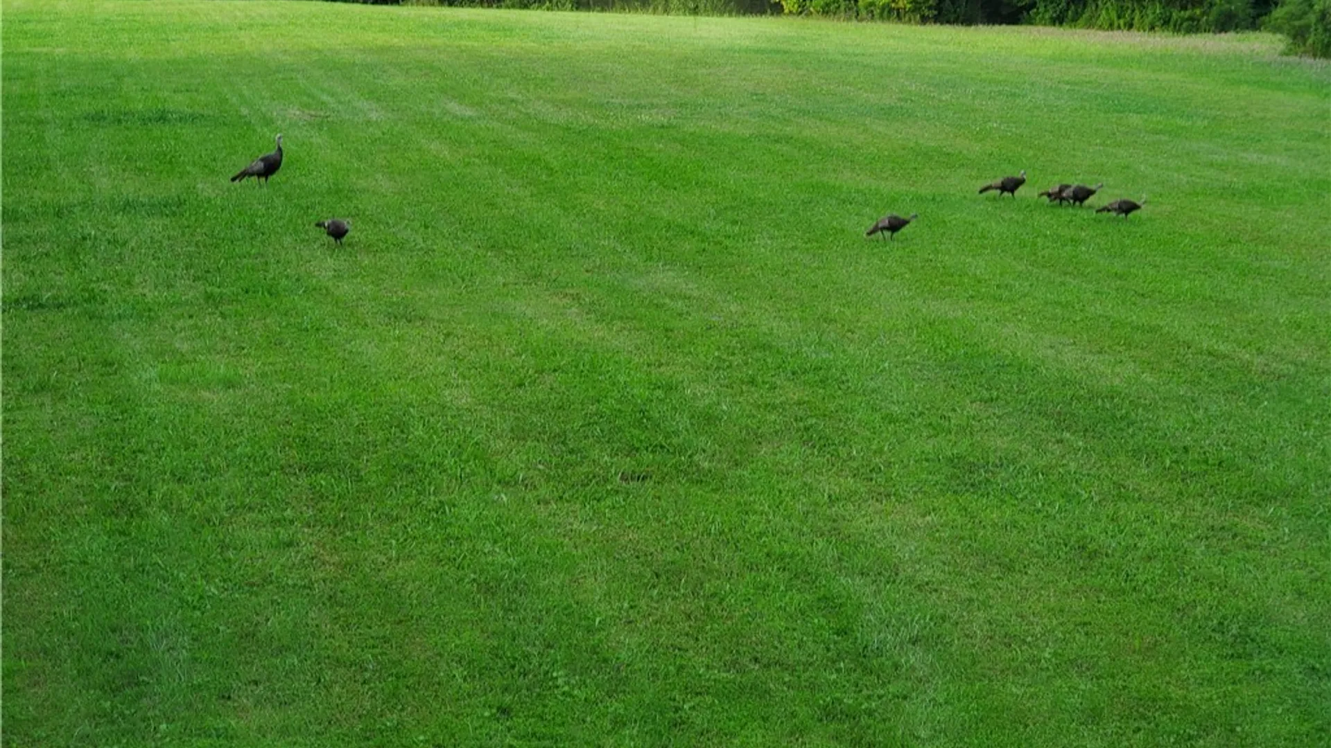 Property at Hogback Road, Butler, NY 13143 12