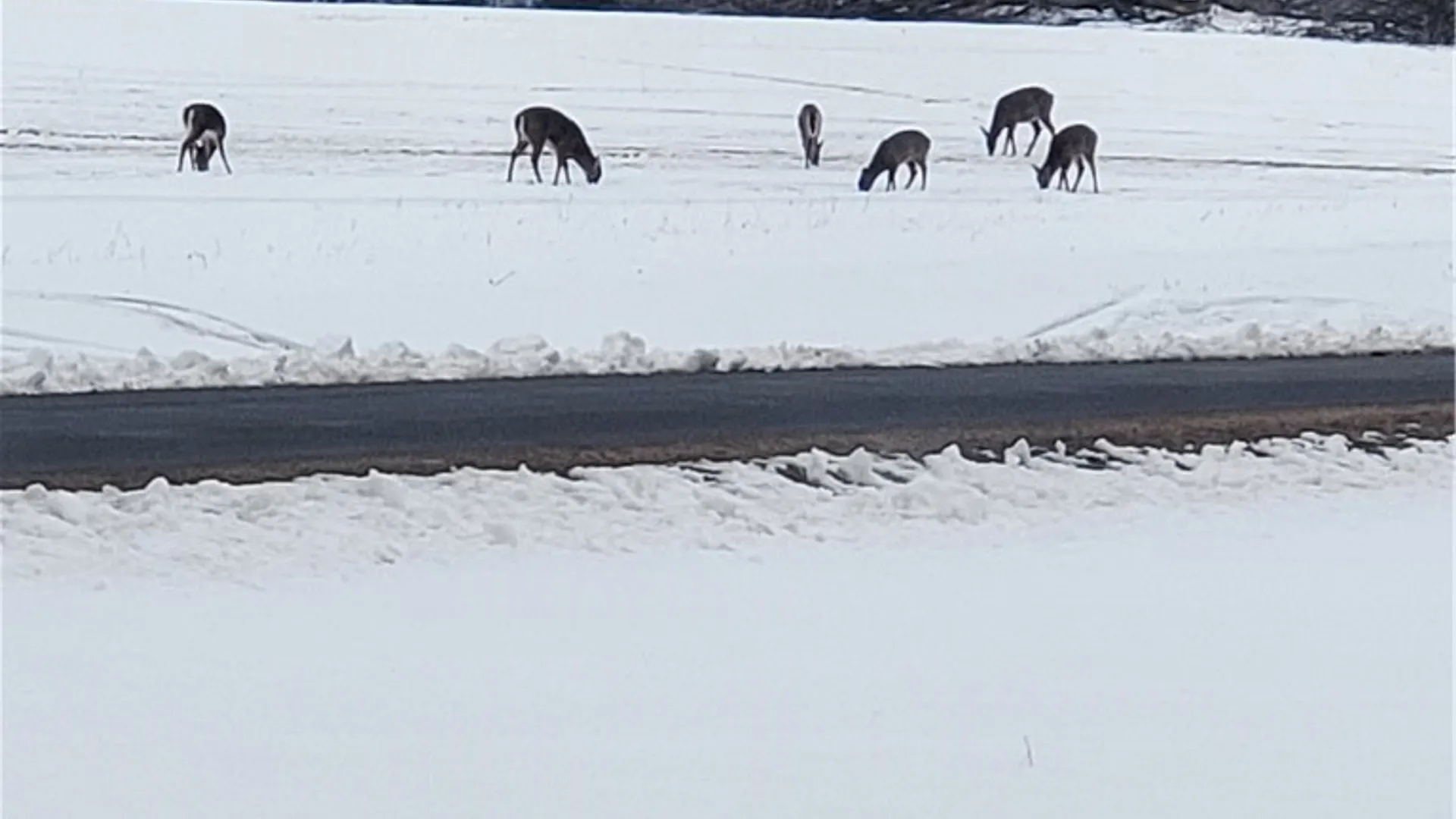 Property at Hogback Road, Butler, NY 13143 16